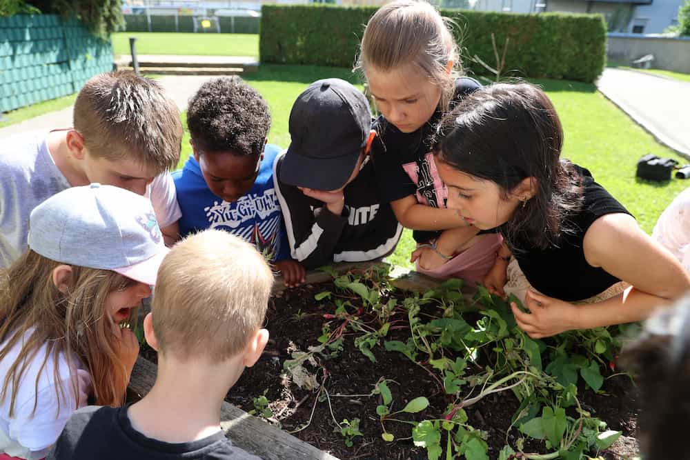 Schulgarten Kinder schauen Pflanzen an VS Graz-Brockmann