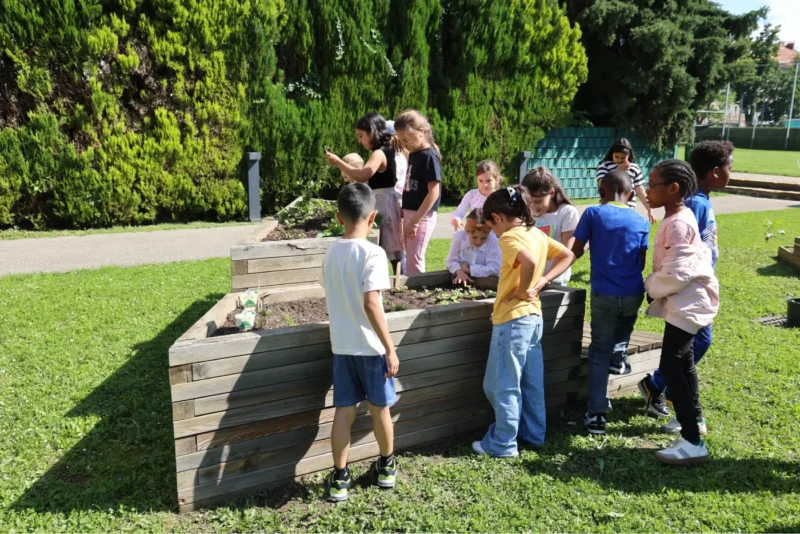 Hochbeete in der Outdoor Anlage der VS Brockmann