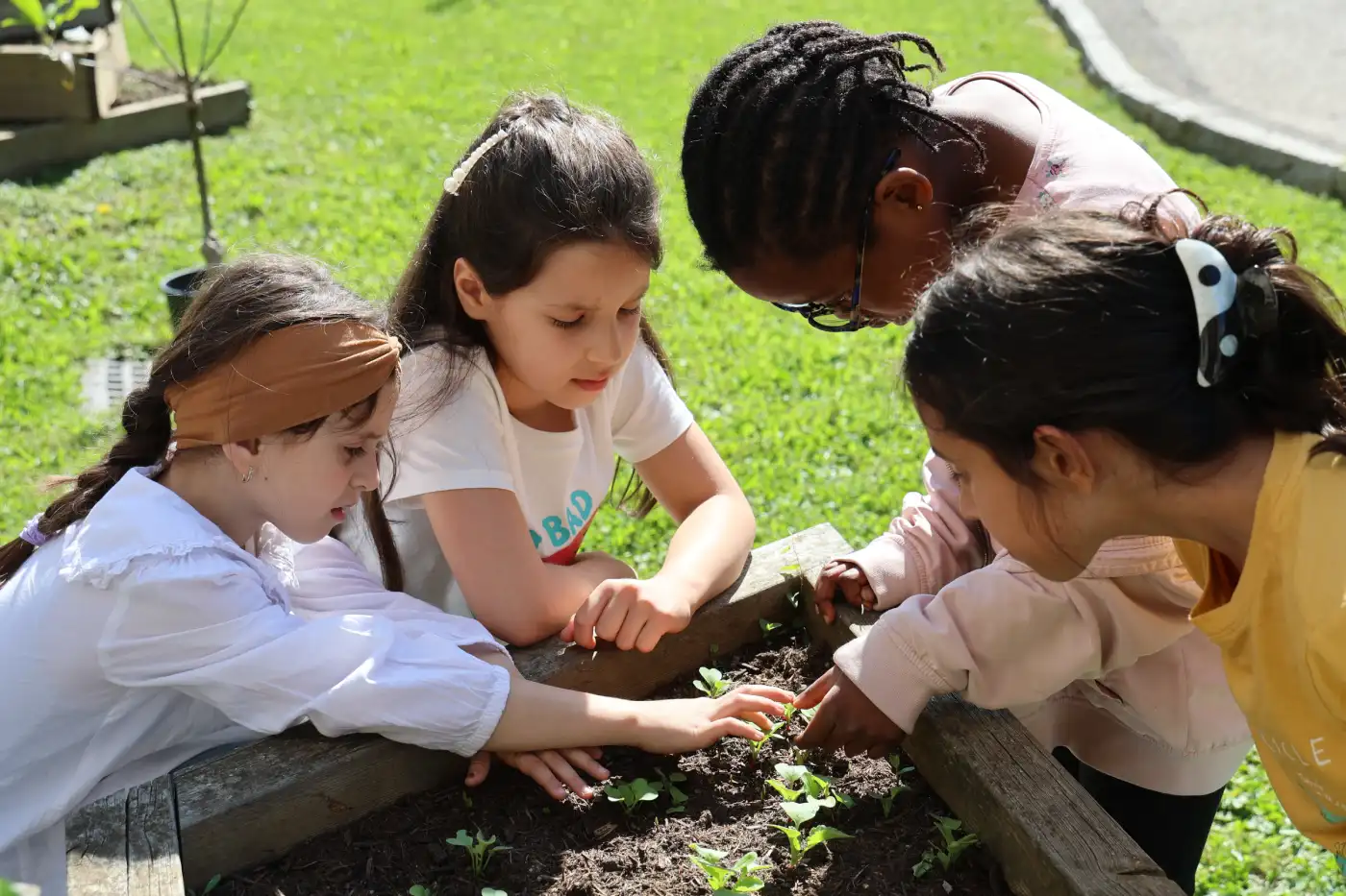 Kinder der Volksschule Graz Brockmann beim gemeinsamen Forschen an einem Hochbeet im Garten des Schulareals